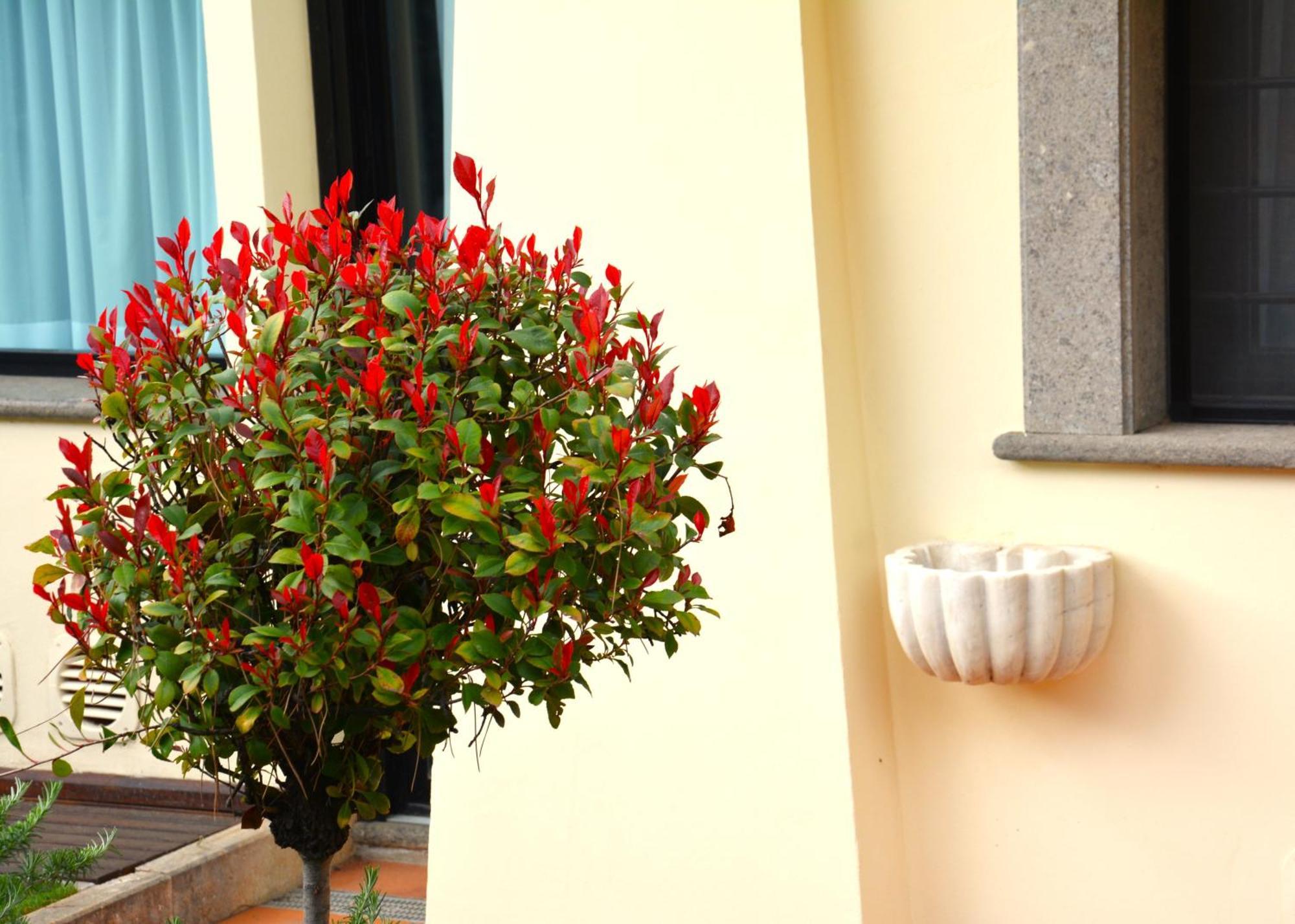 Gemelli Hotel Rome Luaran gambar